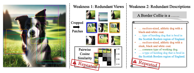 Let's Roll a BiFTA: Bi-refinement for Fine-grained Text-visual Alignment in Vision-Language Models