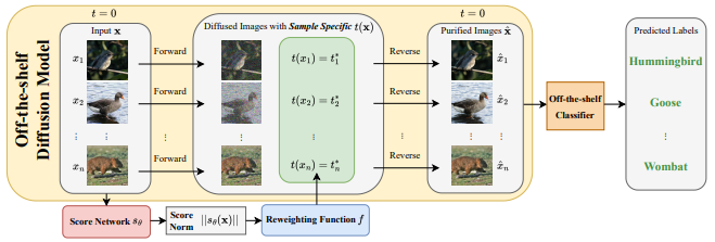 Sample-Specific Noise Injection For Diffusion-Based Adversarial Purification